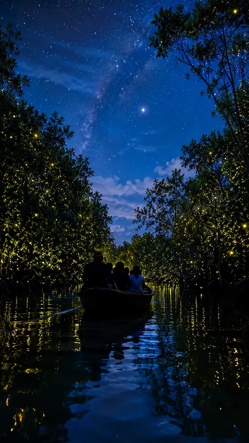 Rainforest trail idea for domestic tourism in Malaysia